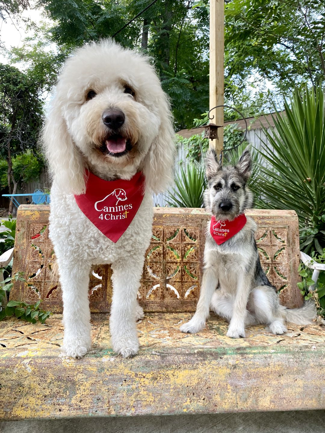 Custom Order - Canines 4 Christ Bandana