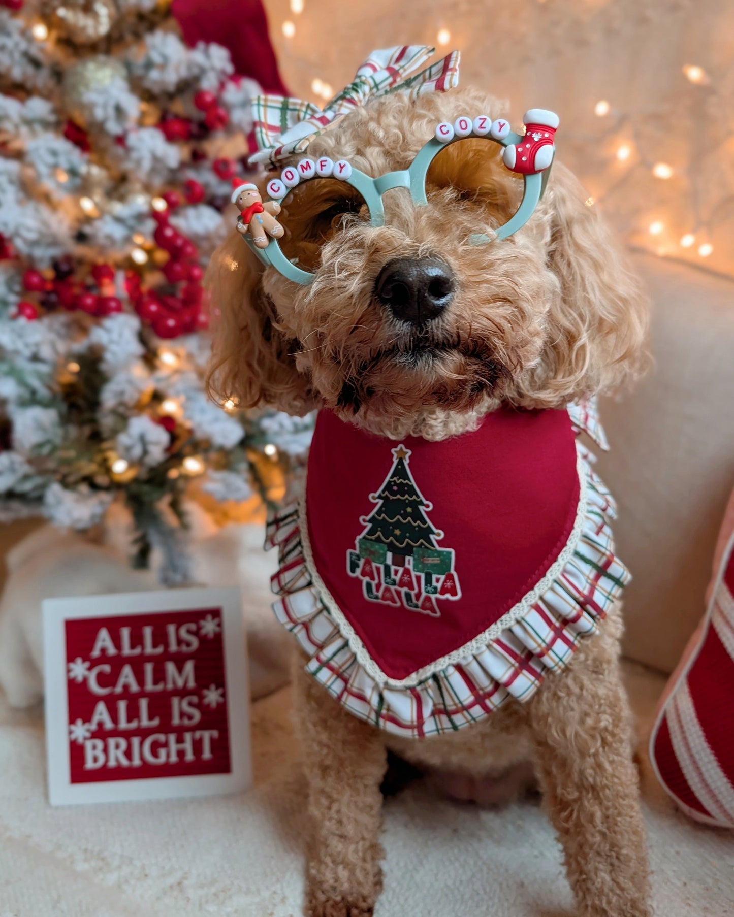 Comfy Cozy Winter Beaded Sunglasses