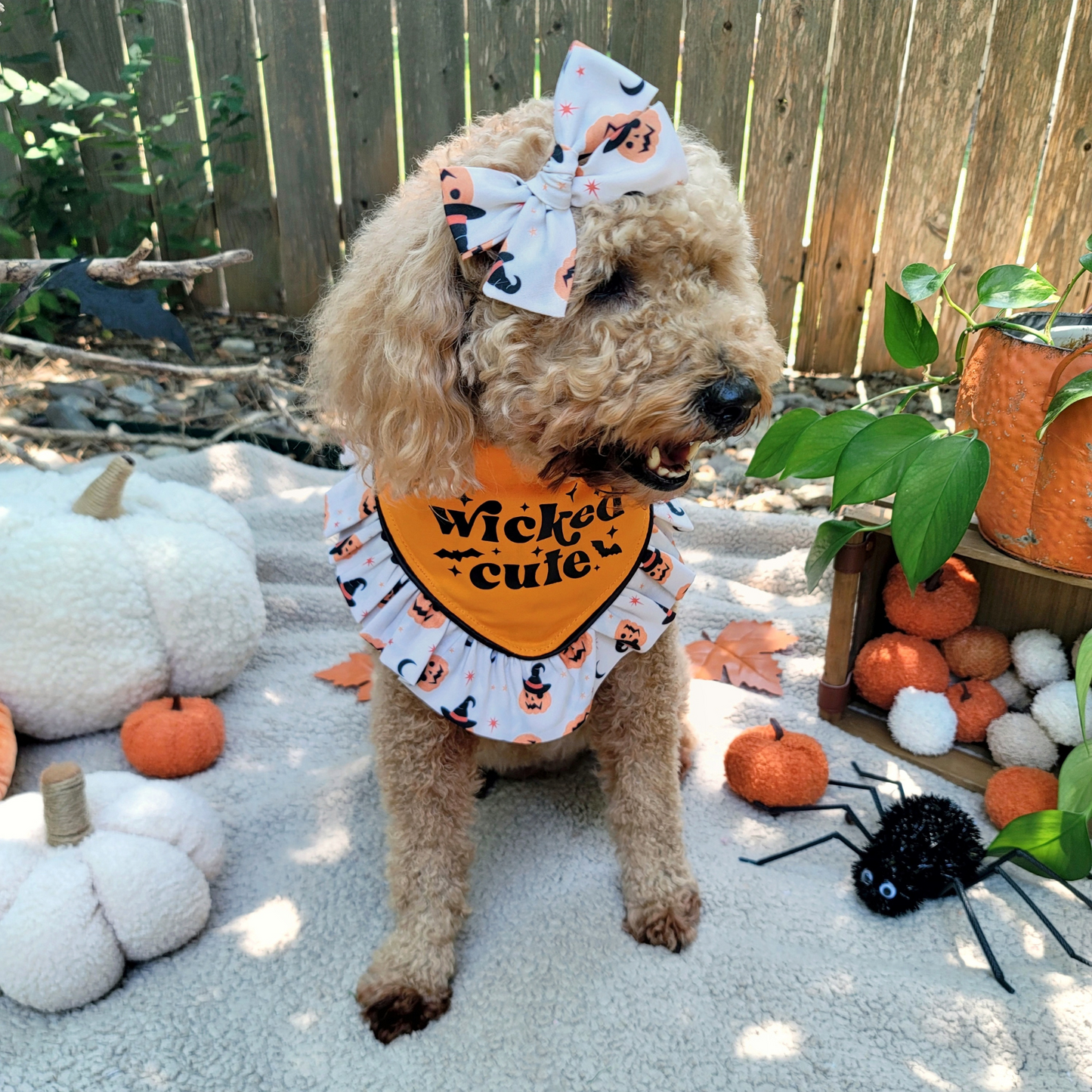 Witchy Jack-O-Lantern Saylor Hair Bow