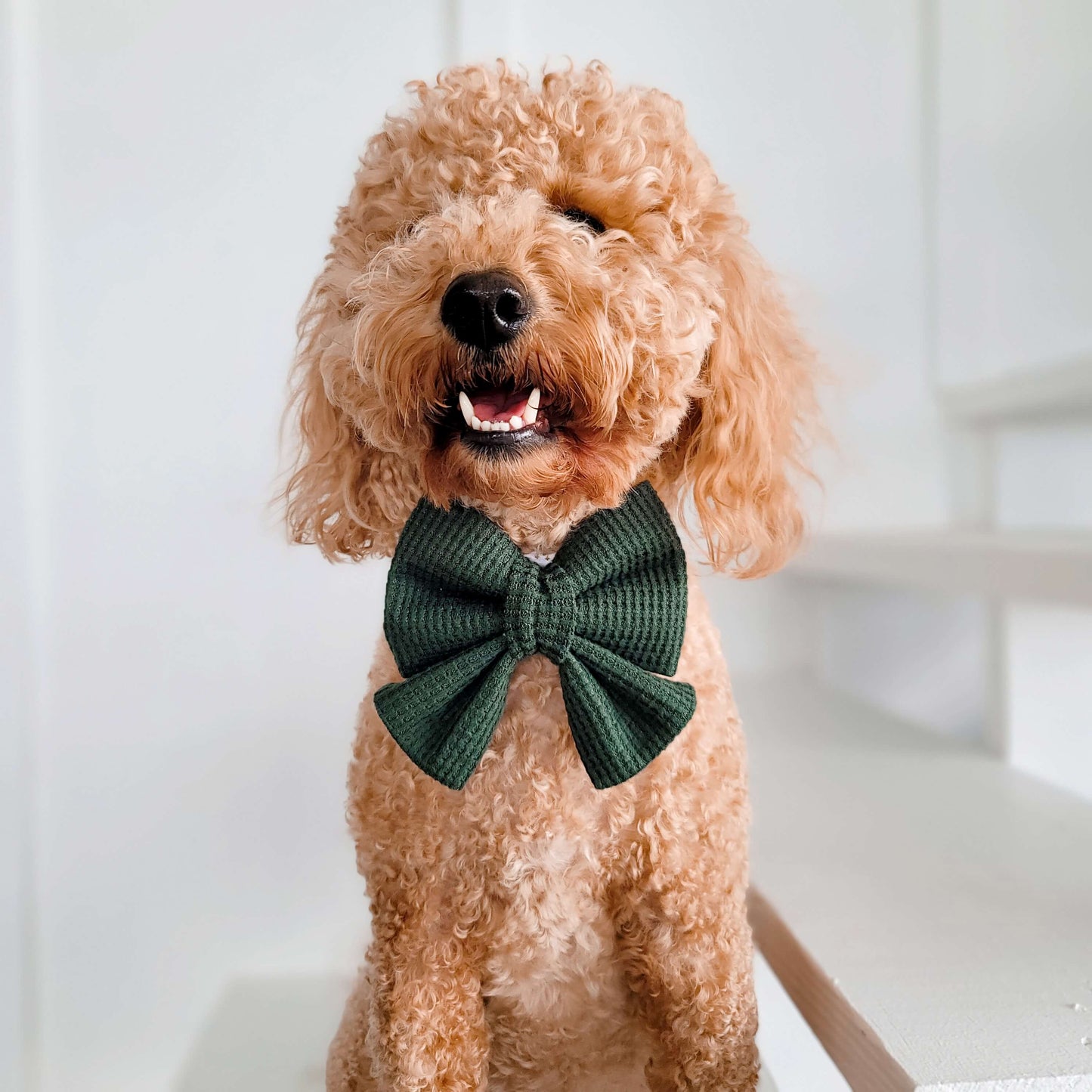 Green Waffle Knit Sailor Bow Tie