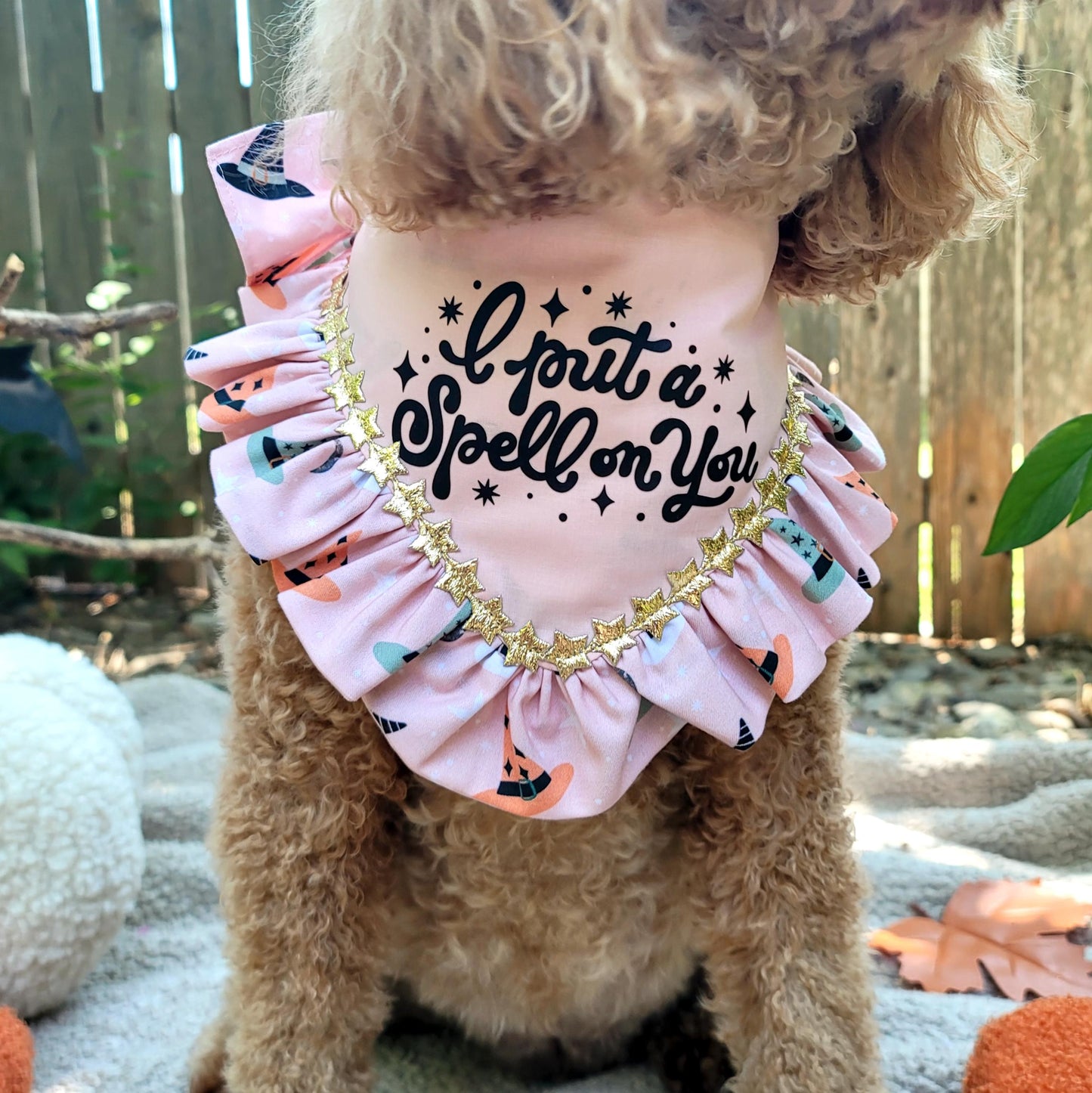 Dog wearing a pink outfit with 'I put a spell on you' text and ruffles, standing outdoors.