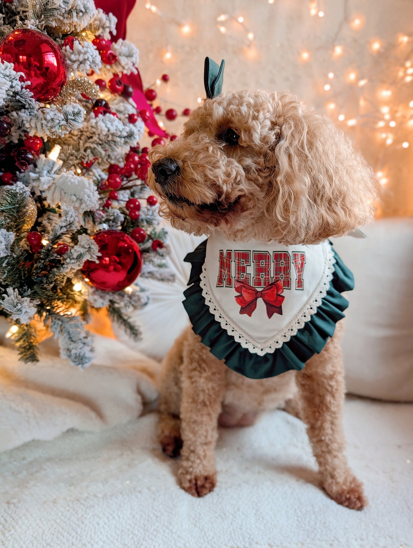 Dog wearing a 'Merry' Christmas-themed bandana in front of a decorated Christmas tree.