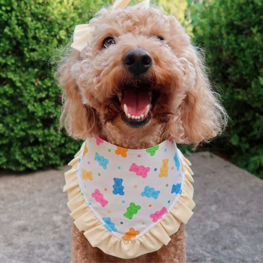 Gummy Bear Dog Bandana