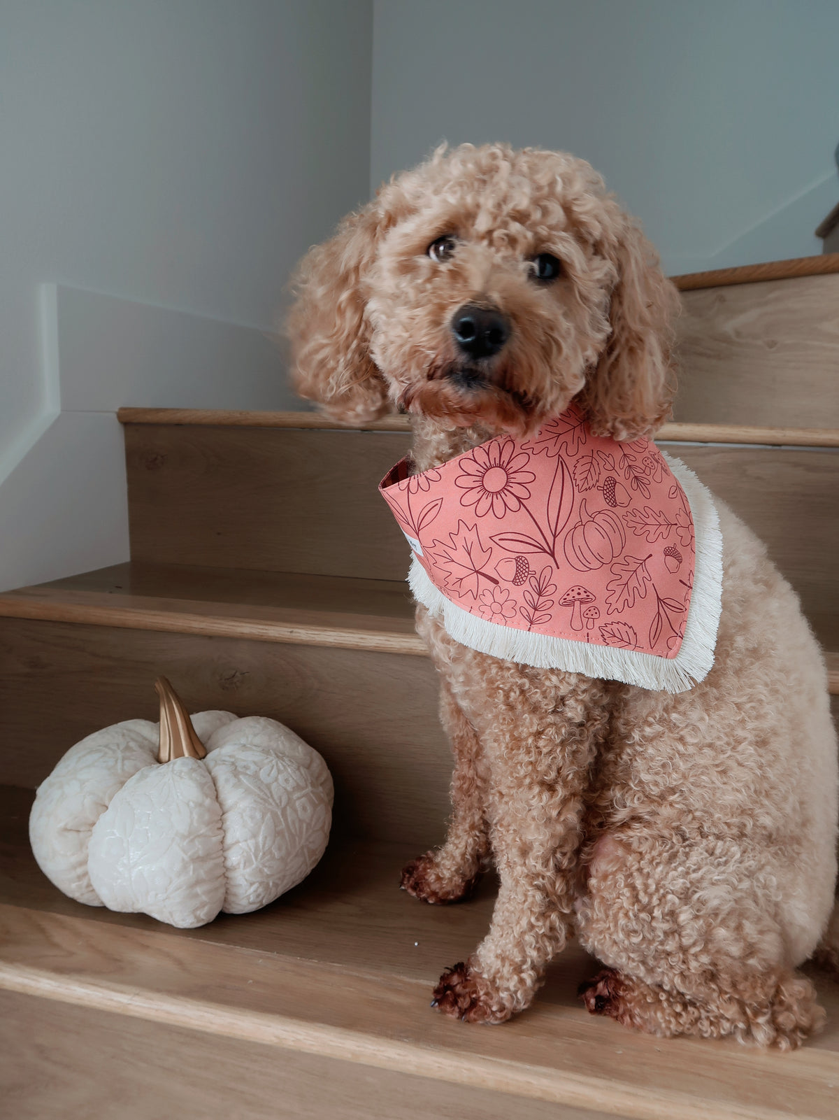 Pink Autumn Doodles Bandana