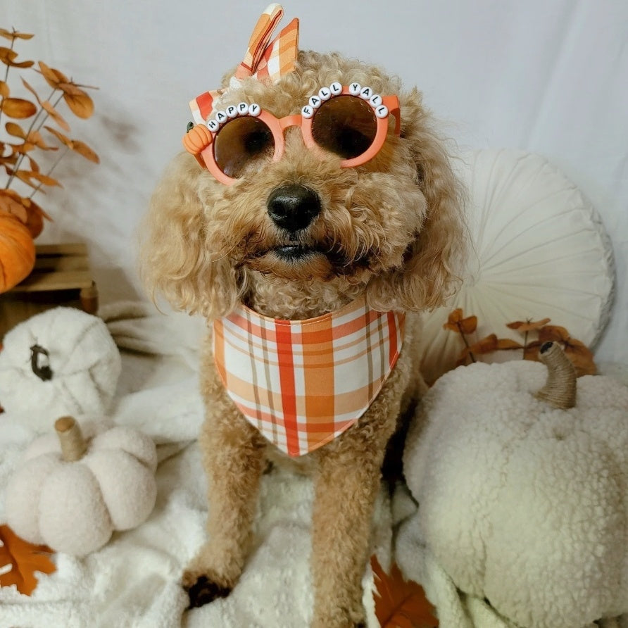 red and orange plaid fall dog bandana