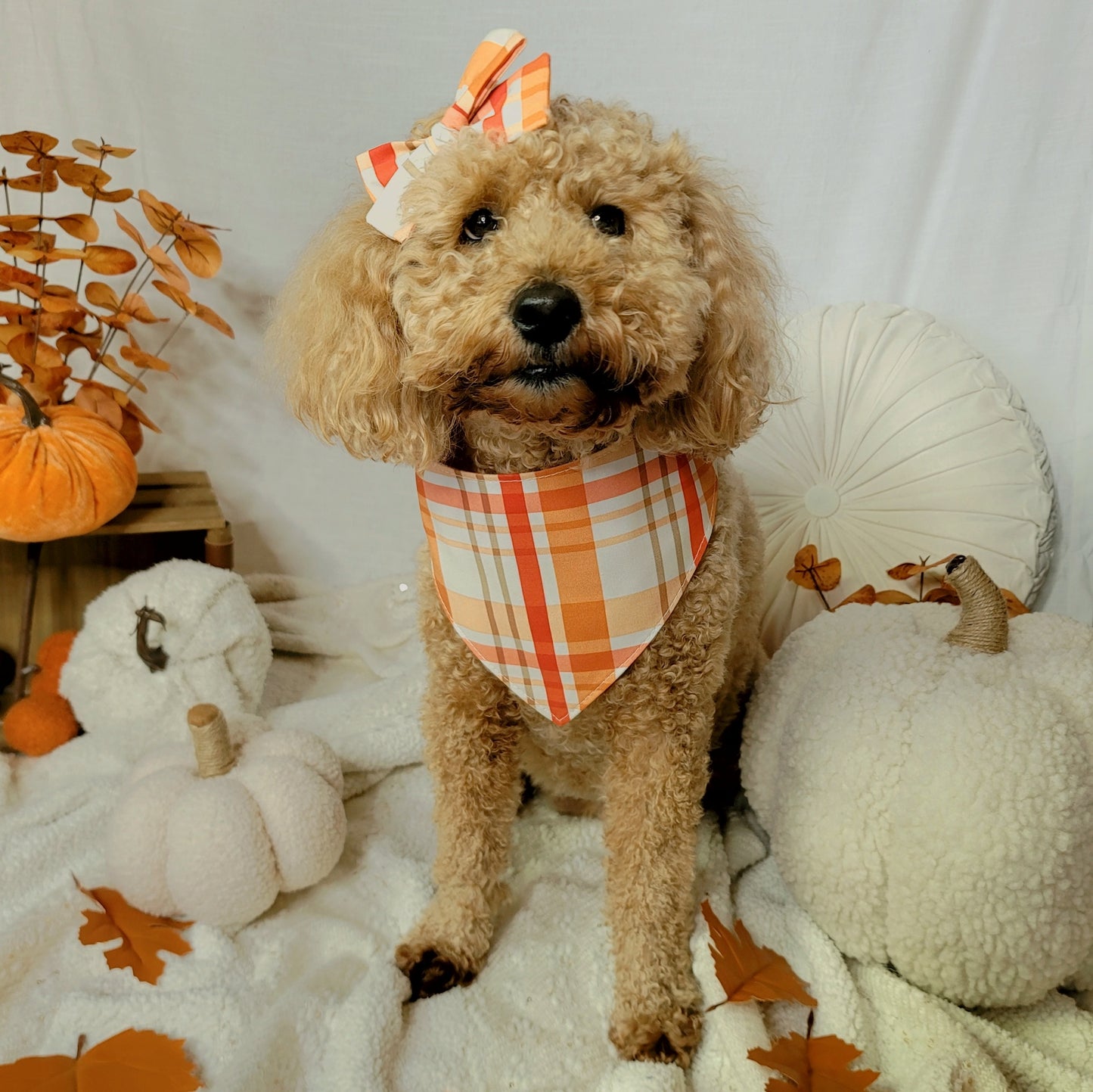 red and orange fall dog bandana