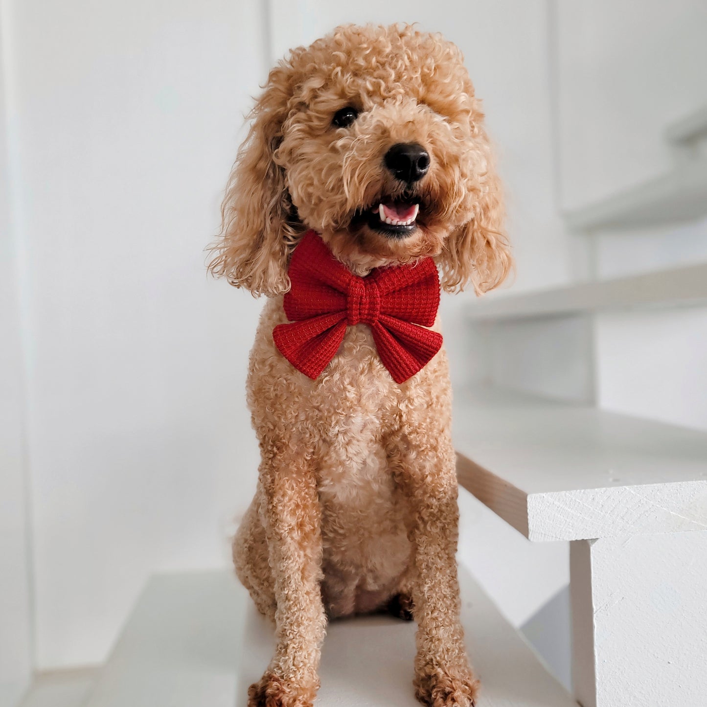 Red Waffle Knit Sailor Bow Tie