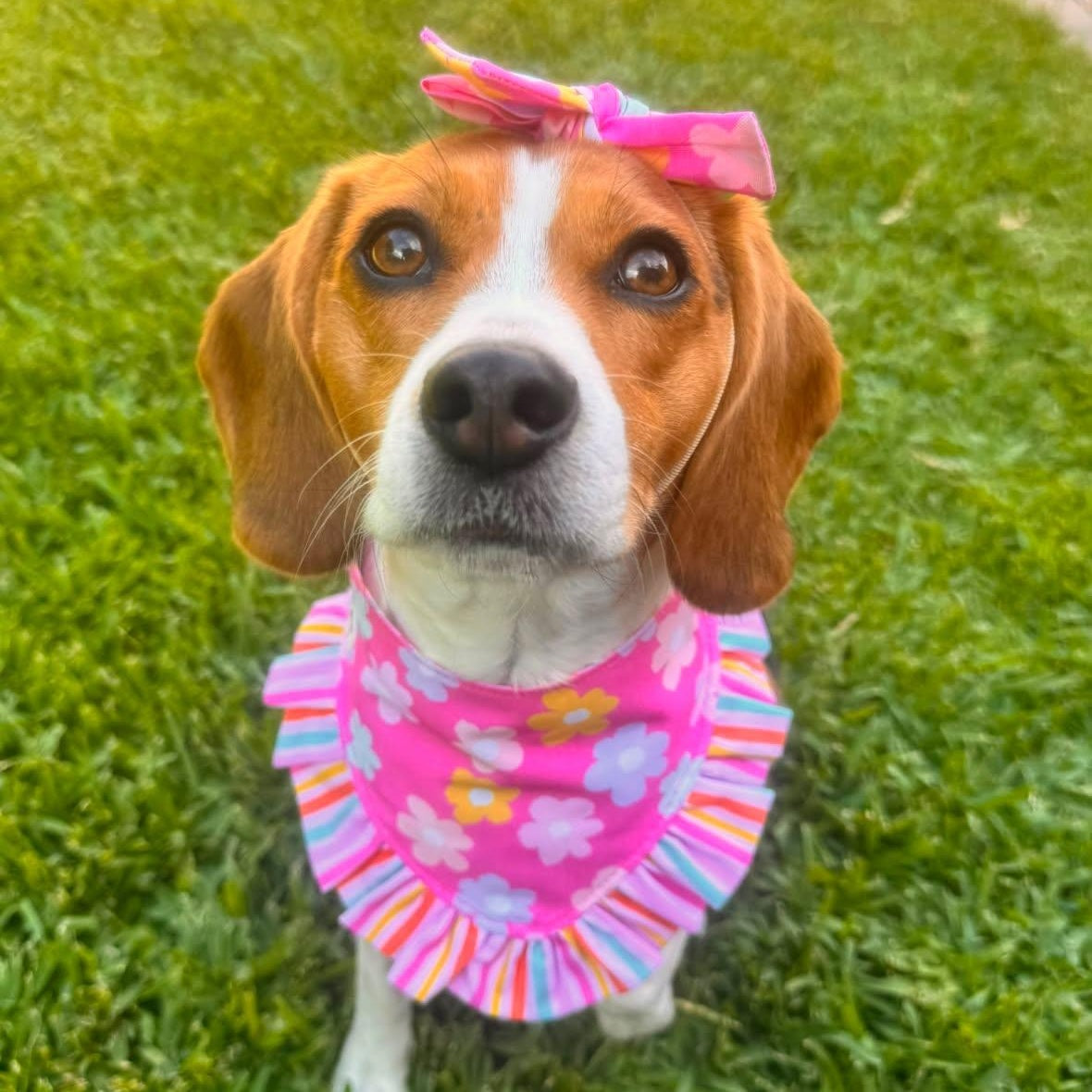 Pink Summer Flower Dog Bandana