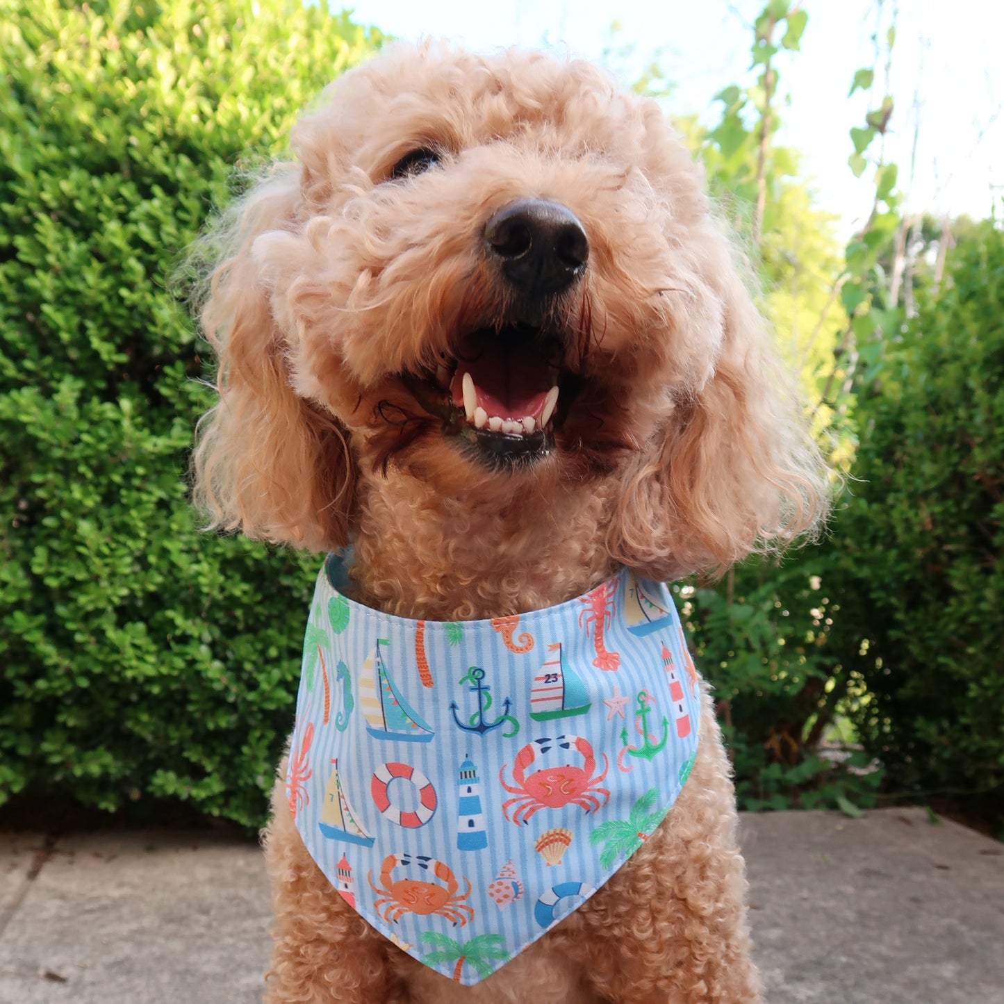 Nautical Seaside Dog Bandana