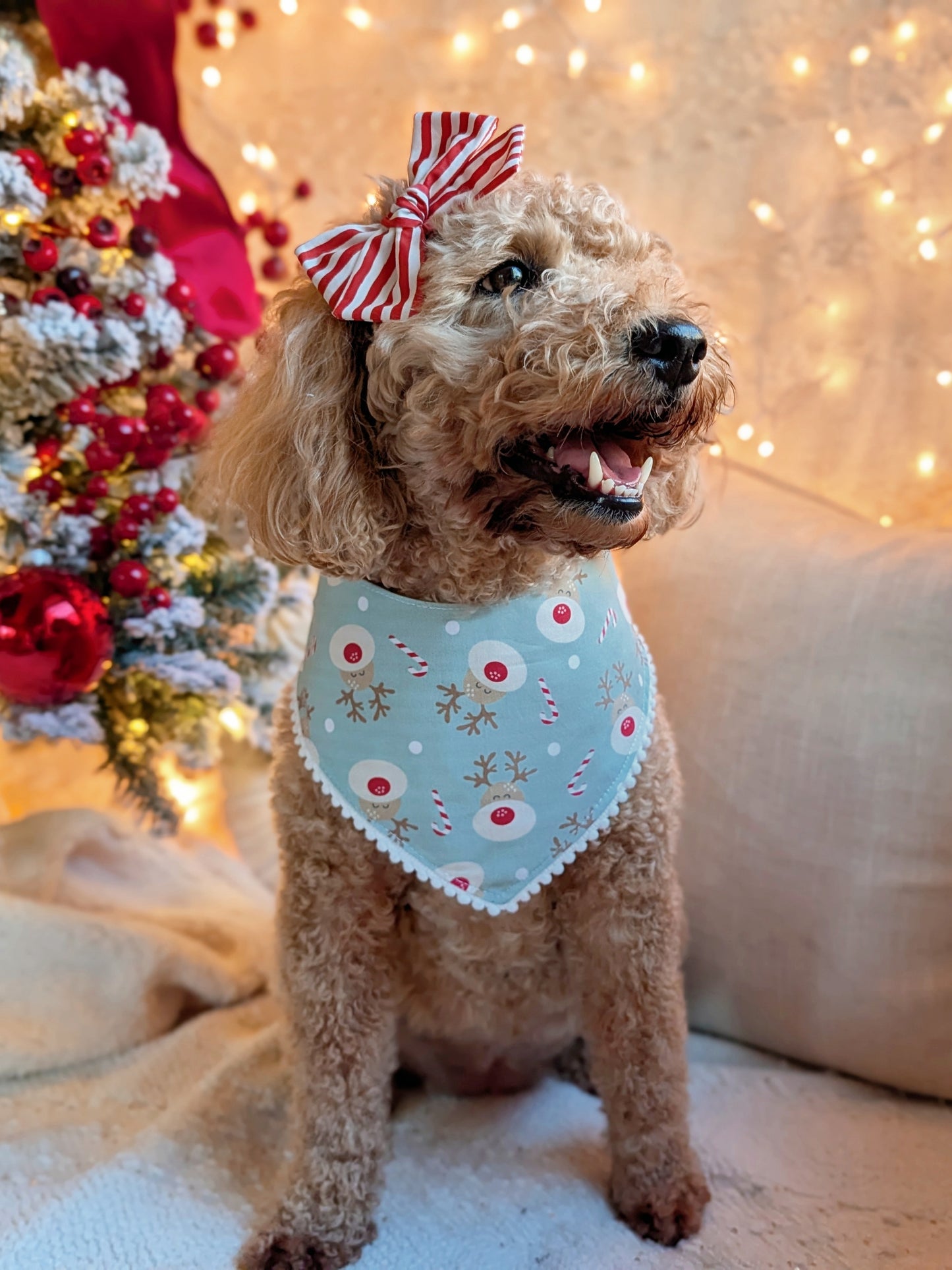 Red Nosed Reindeer Reversible Dog Bandana With Pom Pom Trim