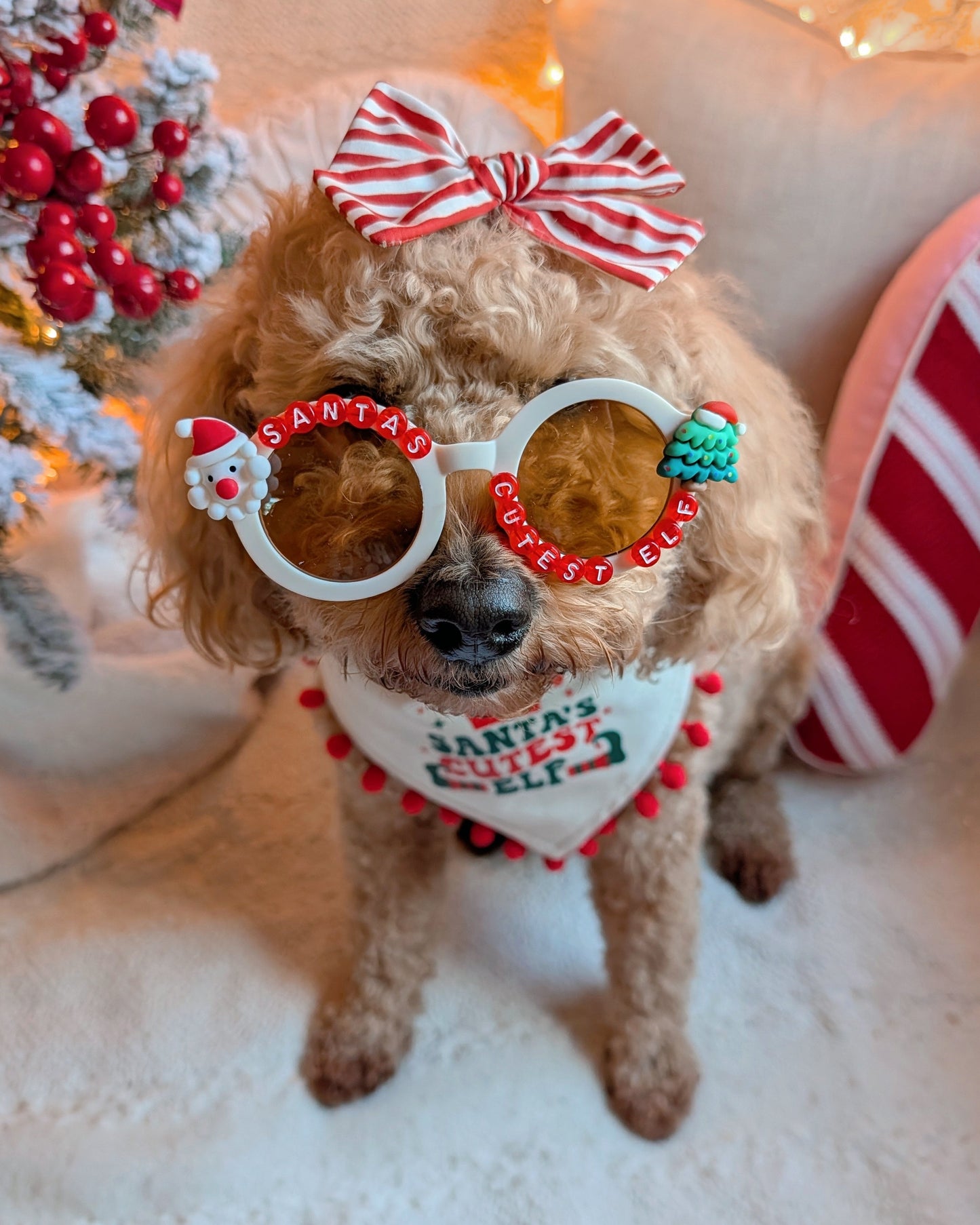 Santa's Cutest Elf Christmas Beaded Sunglasses