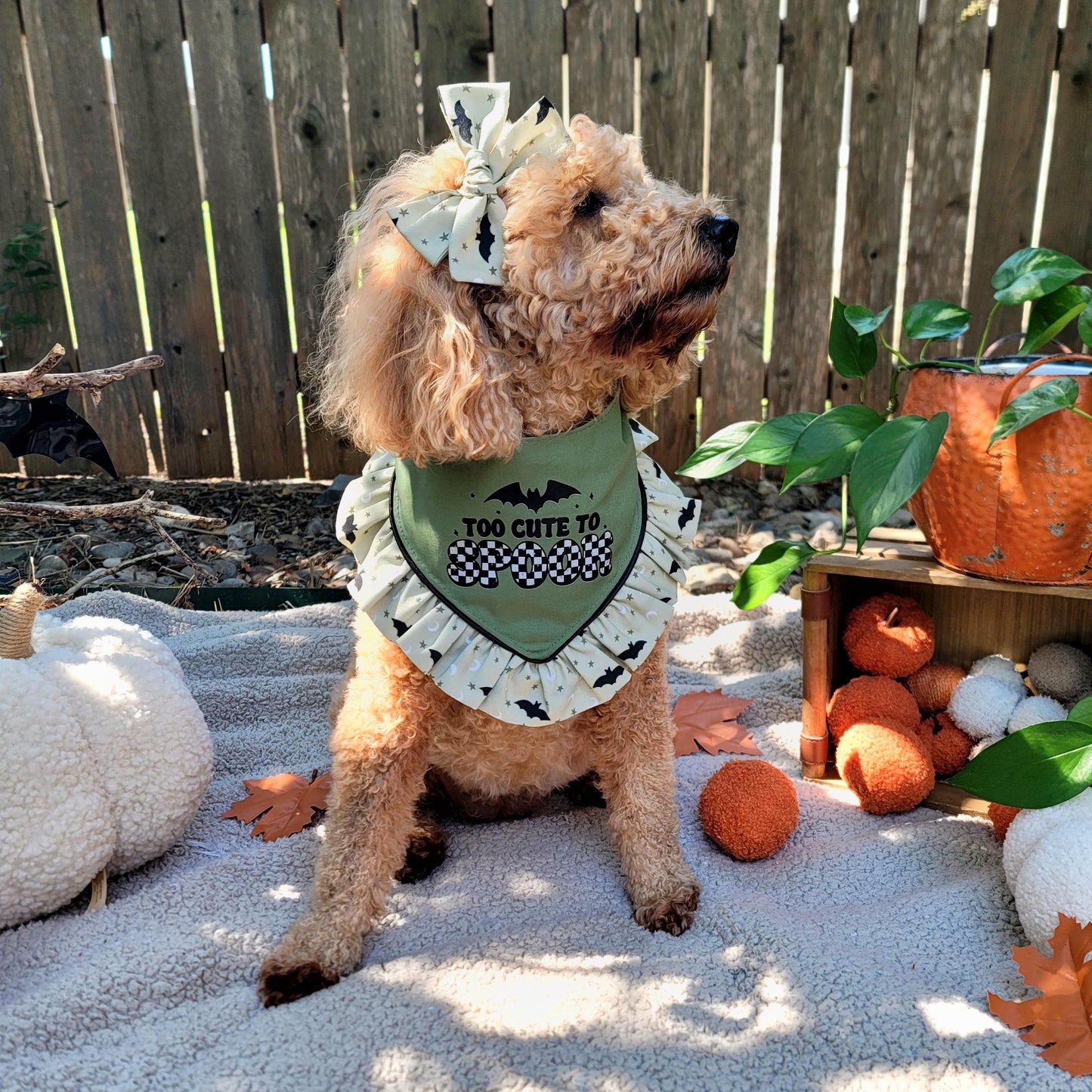 Dog wearing a Halloween-themed outfit with pumpkins and leaves in the background
