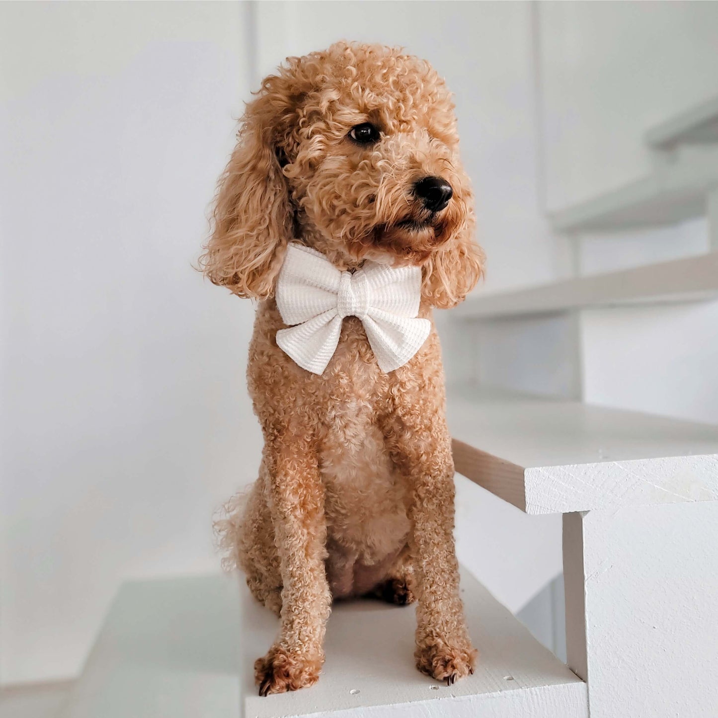 White Waffle Knit Sailor Bow Tie