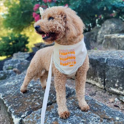 Forever Chasing Sunsets Snap on Or Tie On Dog Bandana With Or Without Trim