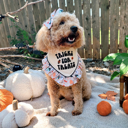 Tricks For Treats Halloween Dog Bandana With or Without Ruffle Trim