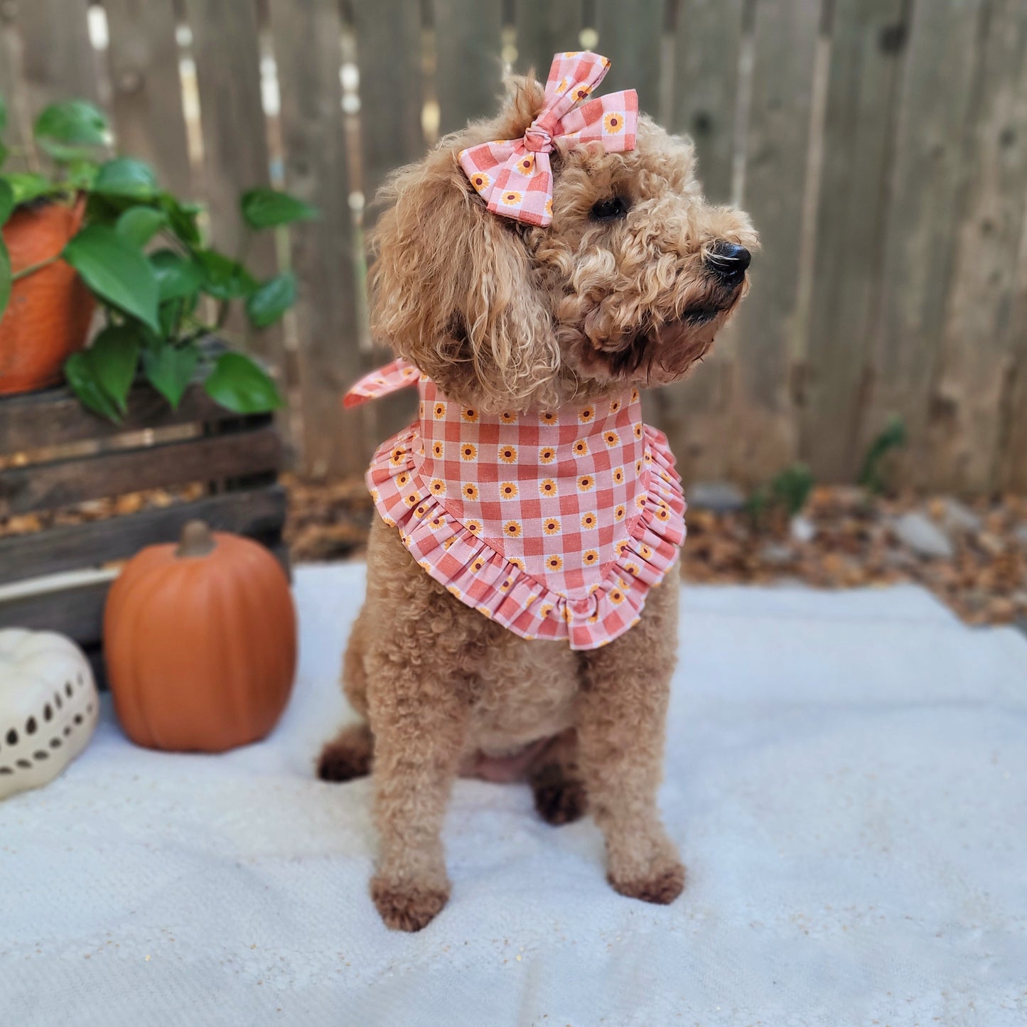 Thankful Sunflower Dog Bandana With Or Without Ruffle Trim