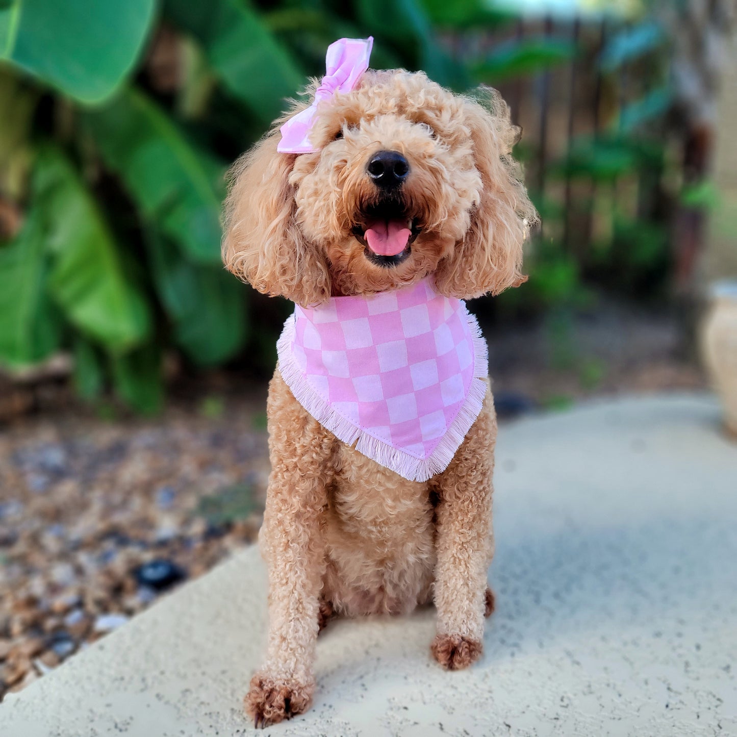 Pink Checkered - Reversible Snap On Dog Bandana - With Short Pink Fringe Trim