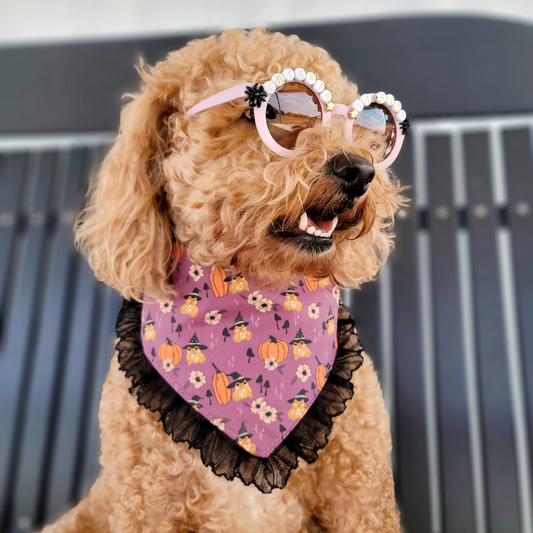 Toad-ally Witchy Reversible Snap On Dog Bandana With Black Ruffle Trim