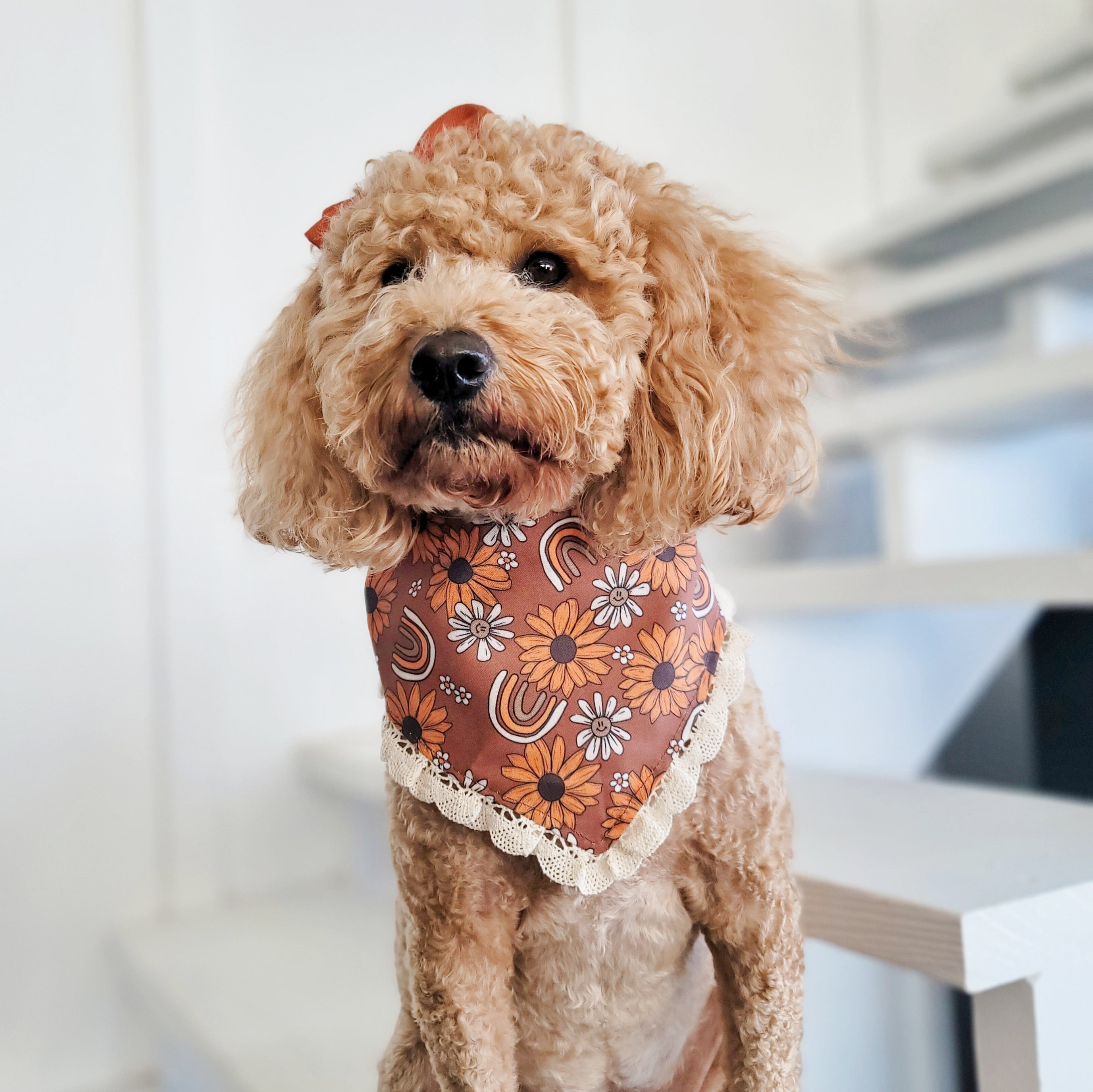 Boho shop dog bandana