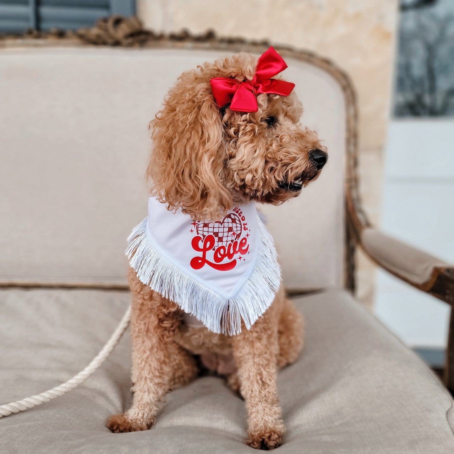 All You Need Is Love Valentine's Day Dog Bandana