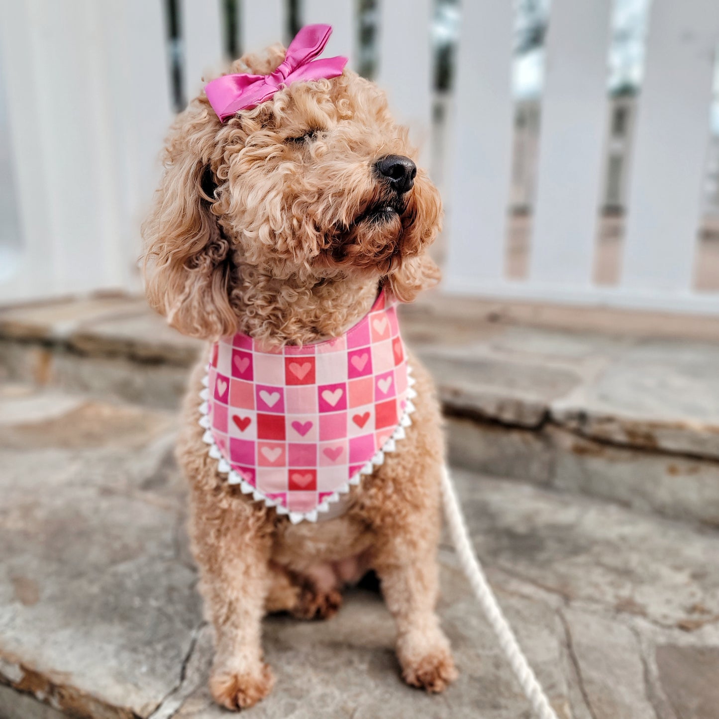 Pink and Red Heart Block Valentine's Day Dog Bandana