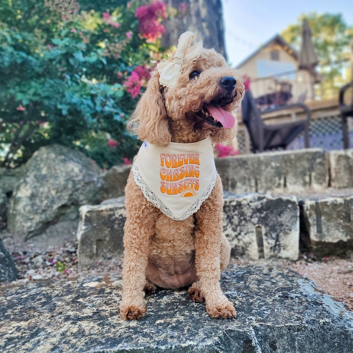 Forever Chasing Sunsets Snap on Or Tie On Dog Bandana With Or Without Trim