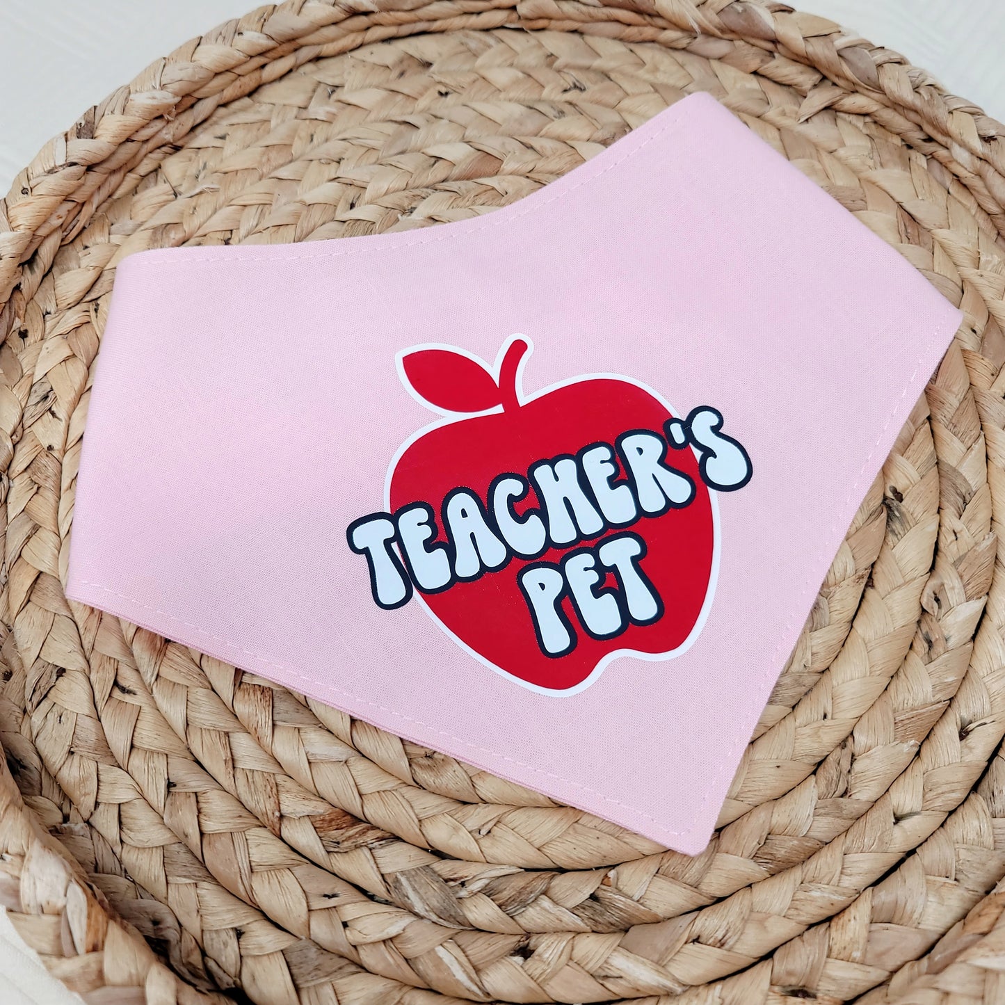 Teacher's Pet Snap On Or Tie On Dog Bandana in Pink