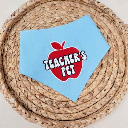 Teacher's Pet Snap On Or Tie On Dog Bandana in Blue