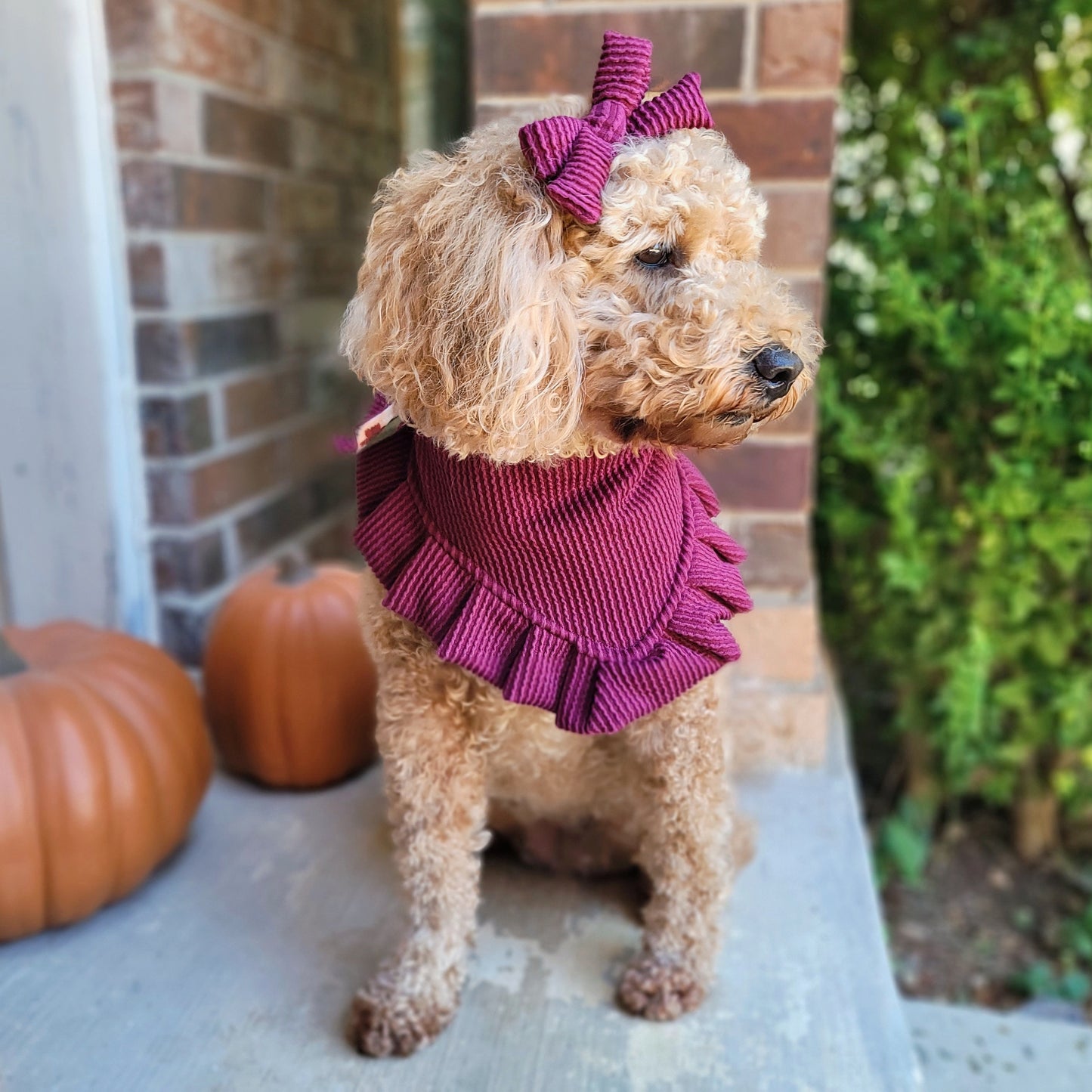 Wine Curvy Ribbed Hair Bow