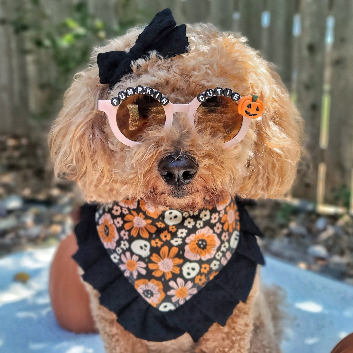 Pink Pumpkin Cutie Sunglasses