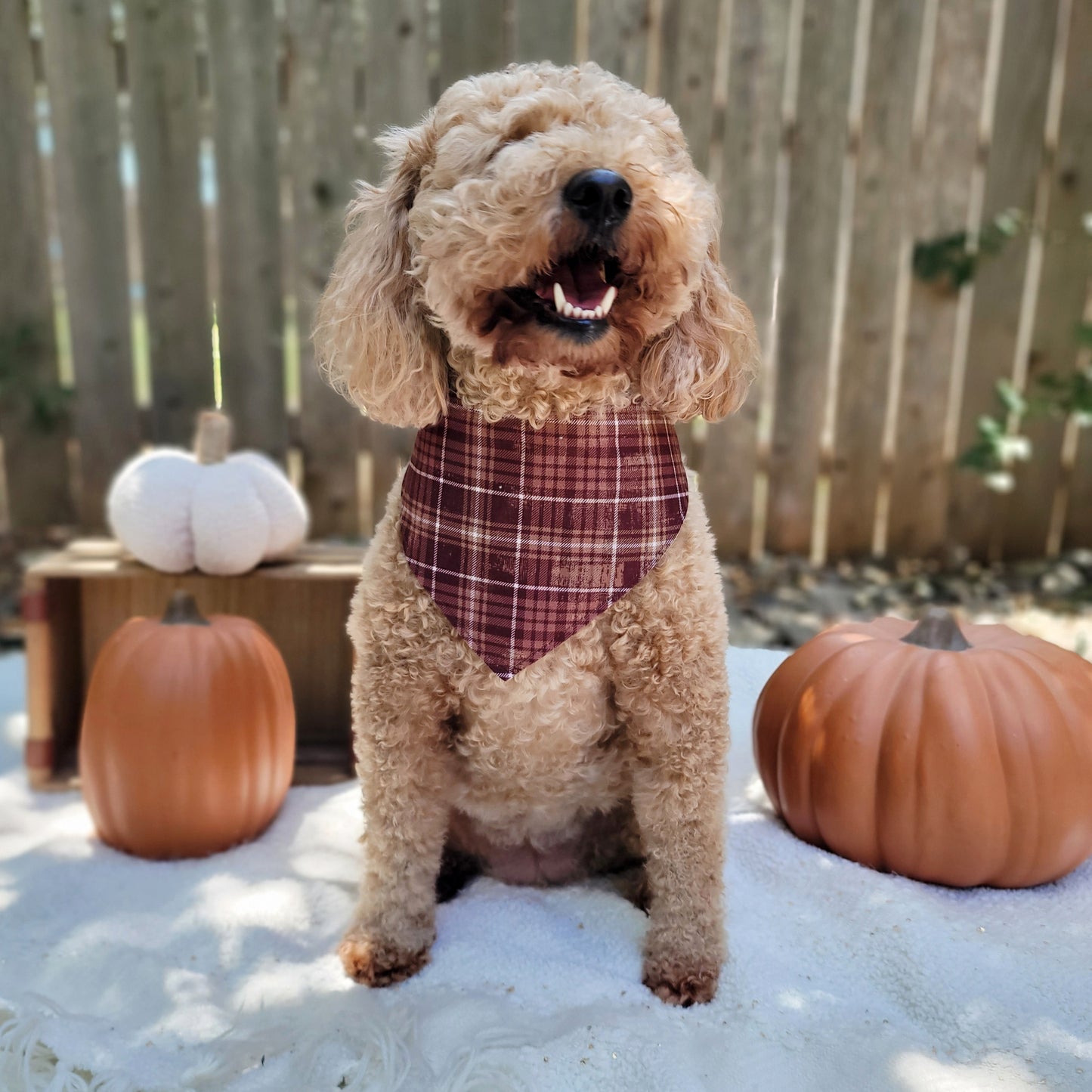 Cozy Season Plaid Dog Bandana Tie On Or Snap On