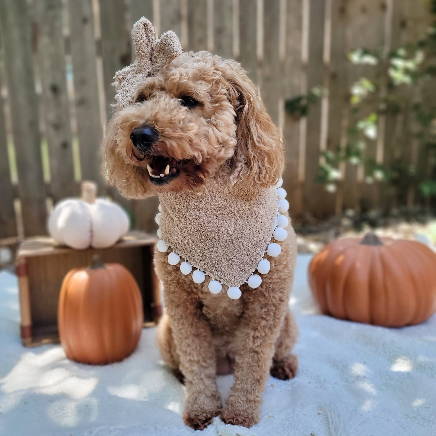 Pumpkin Spice Ghosts Dog Bandana With Or Without Pom Pom Trim