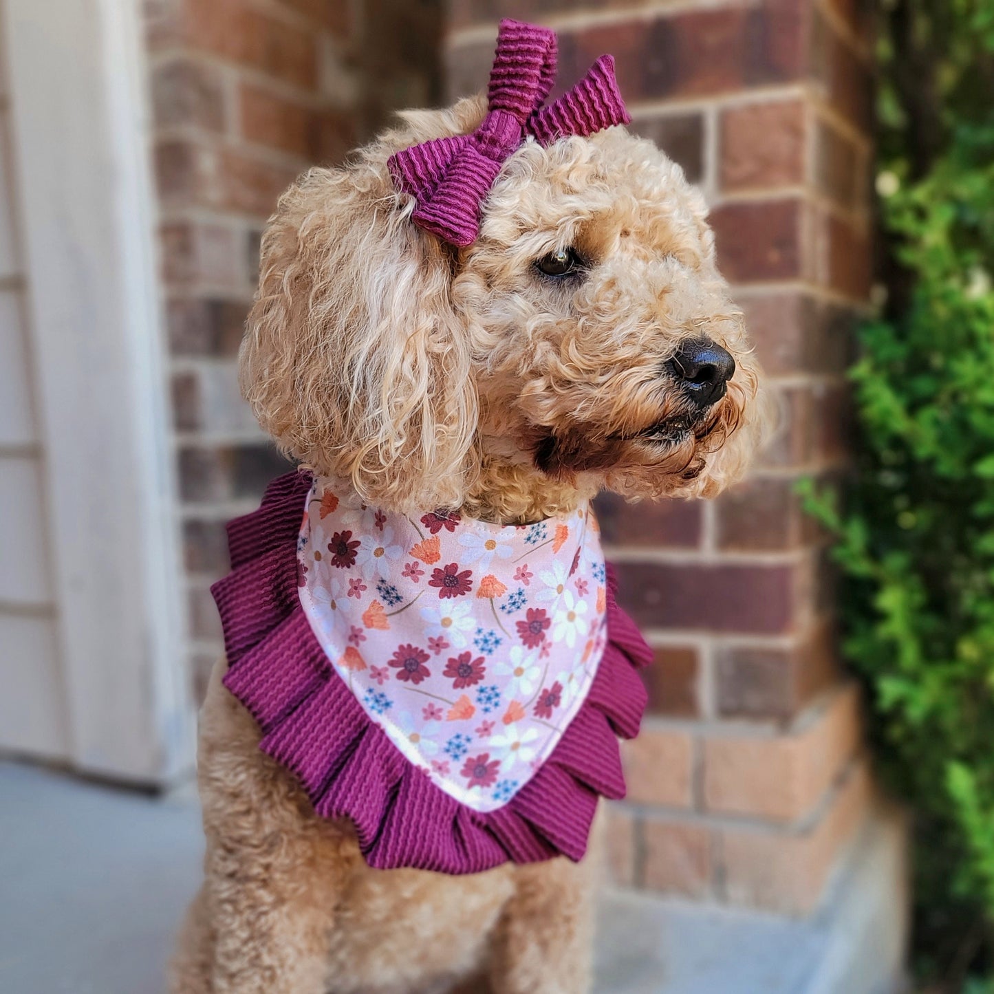 Wine Curvy Ribbed Hair Bow