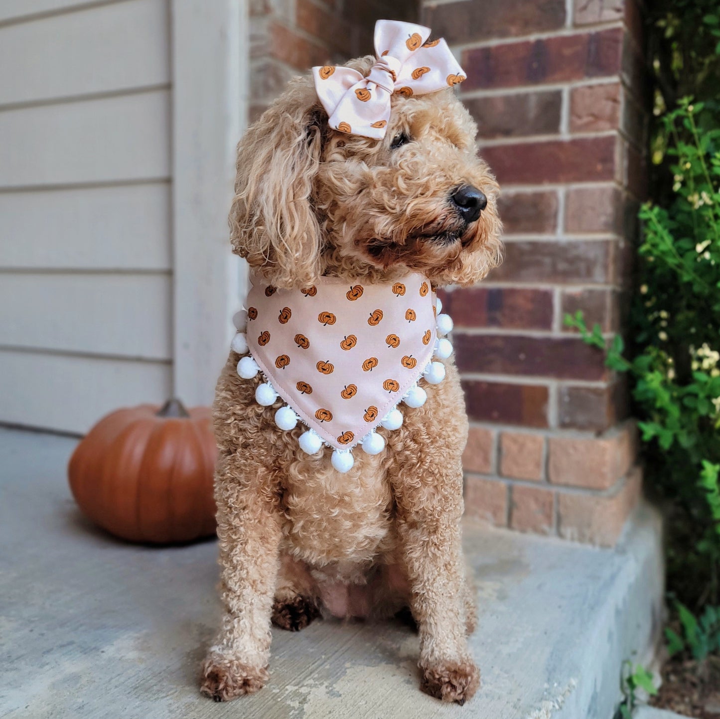 Pink Happy Pumpkins Dog Bandana With Or Without Pom Pom Trim