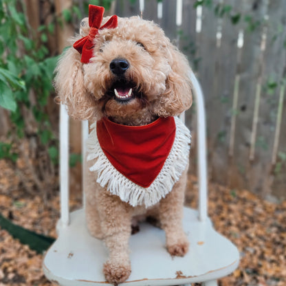 Rust Velvet Bandana With Or Without Fringe Trim