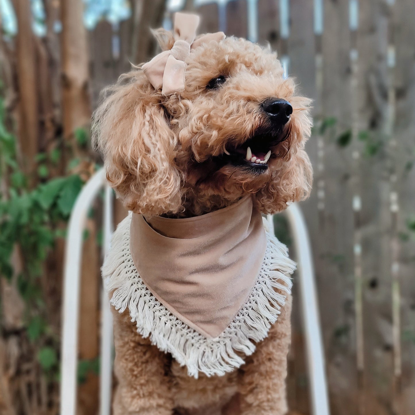 Champagne Velvet Bandana With Or Without Fringe Trim