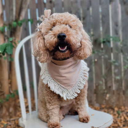 Champagne Velvet Bandana With Or Without Fringe Trim