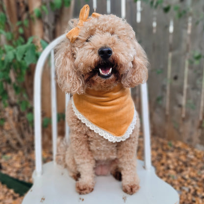 Gold Velvet Corduroy Bandana With Or Without Lace Trim