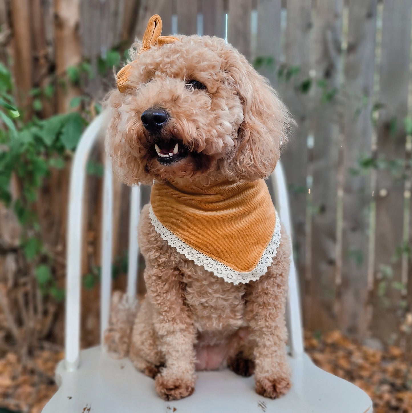 Gold Velvet Corduroy Bandana With Or Without Lace Trim