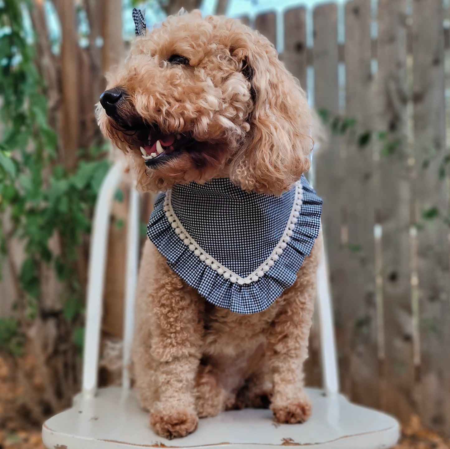 Dainty Black Gingham Dog Bandana With Ruffle Trim