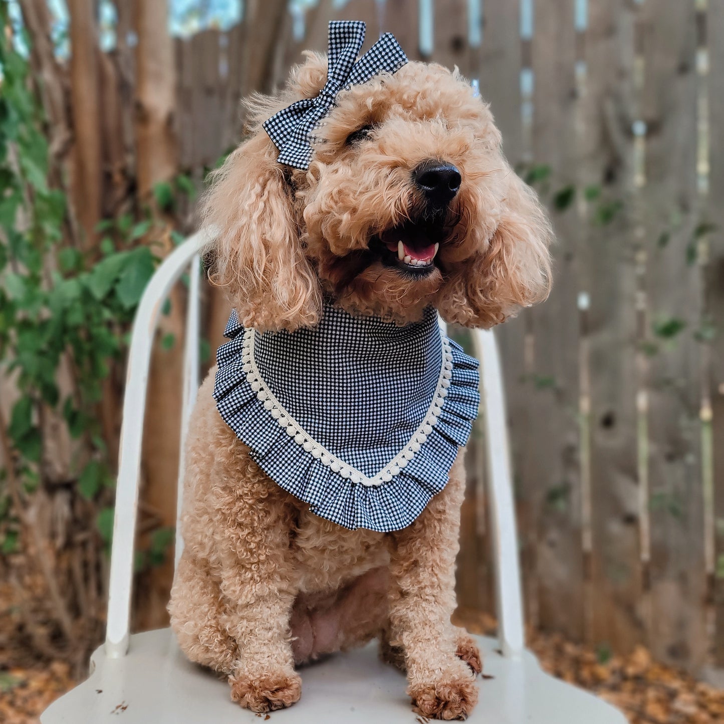 Dainty Black Gingham Dog Bandana With Ruffle Trim