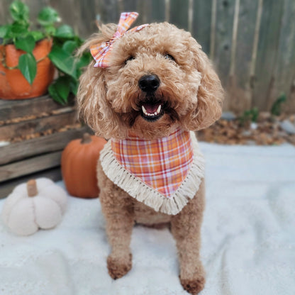 It's All Gravy Thanksgiving Dog Bandana With Or Without Fringe Trim