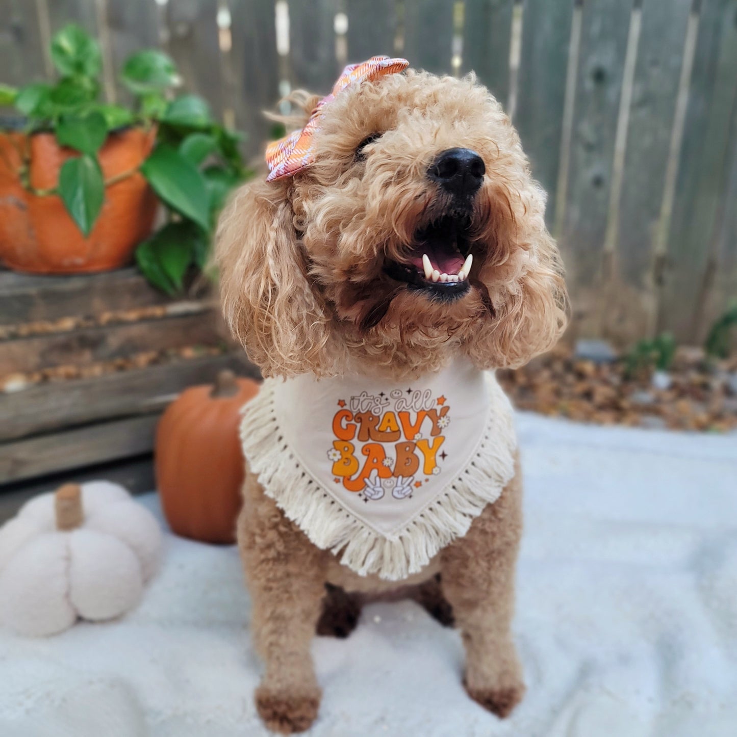 It's All Gravy Thanksgiving Dog Bandana With Or Without Fringe Trim