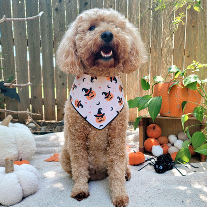 Wicked Cute Dog Bandana With or Without Ruffle Trim