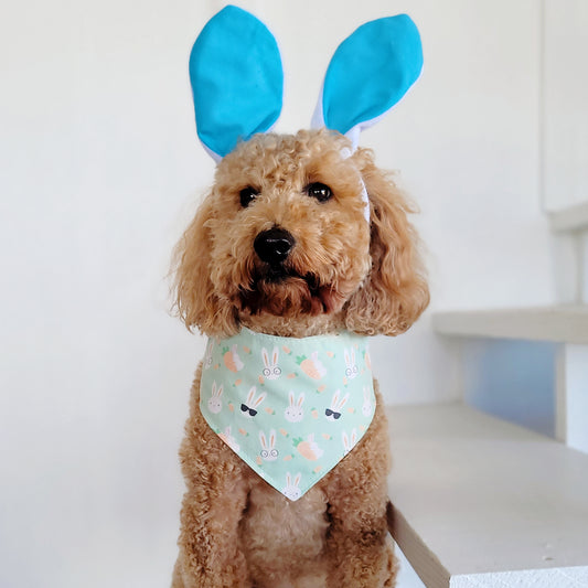 Cool Mint Bunnies Tie On or Snap On Dog Bandana With Or Without Trim