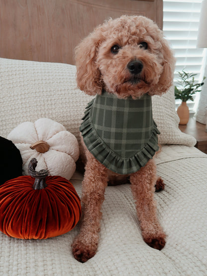 Olive Green Plaid Dog Bandana