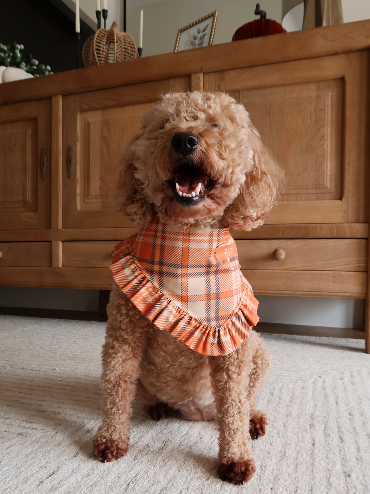 Orange and Black Plaid Dog Bandana