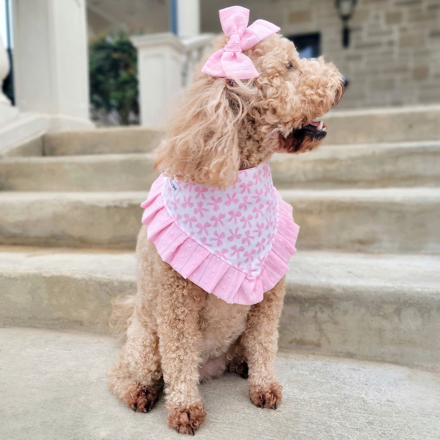 Pretty Pink Bow Snap On Dog Bandana With Or Without Ruffle Trim