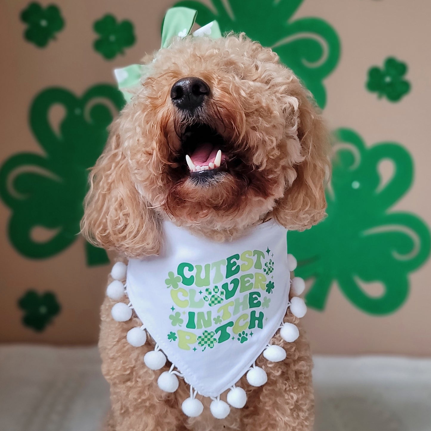 Cutest Clover In The Patch Tie On or Snap On Dog Bandana