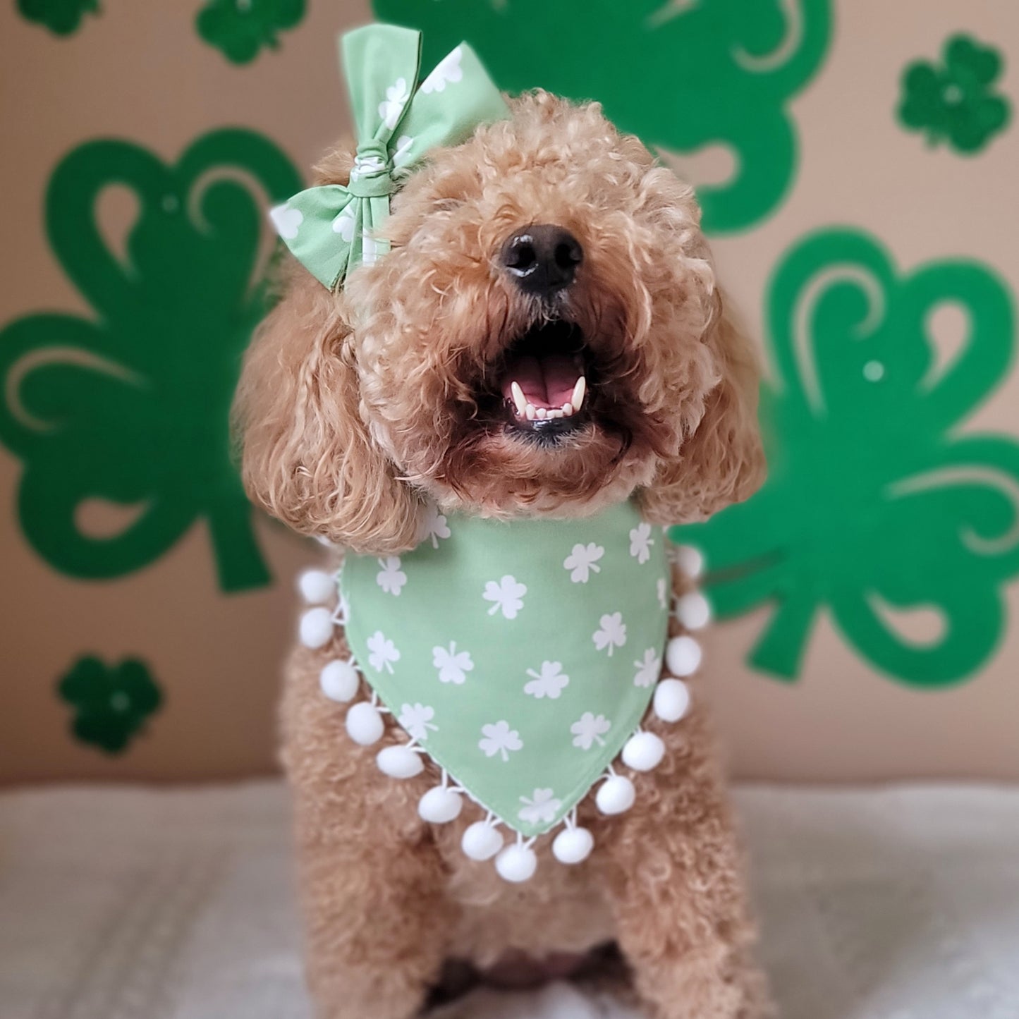 Cutest Clover In The Patch Tie On or Snap On Dog Bandana